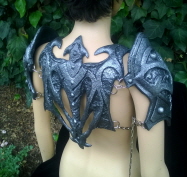 Woman's Fashion Armor