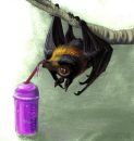 Bat and Slurpy